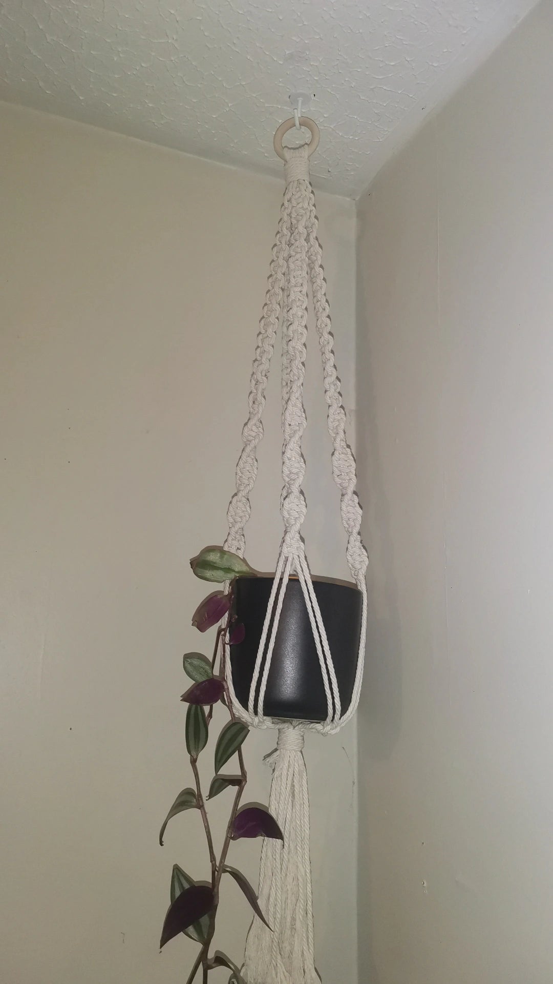 Macrame Pot Plant Hangers