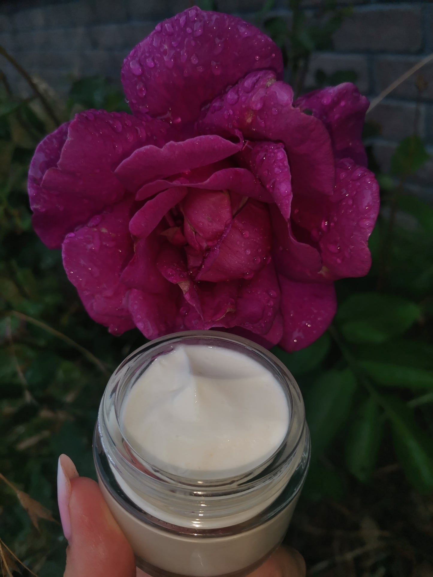 Rose Face Cream