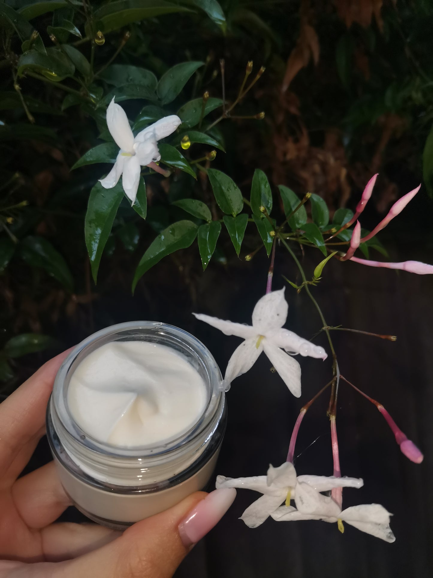 Rose Face Cream