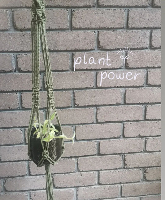 Macrame Pot Plant Hangers