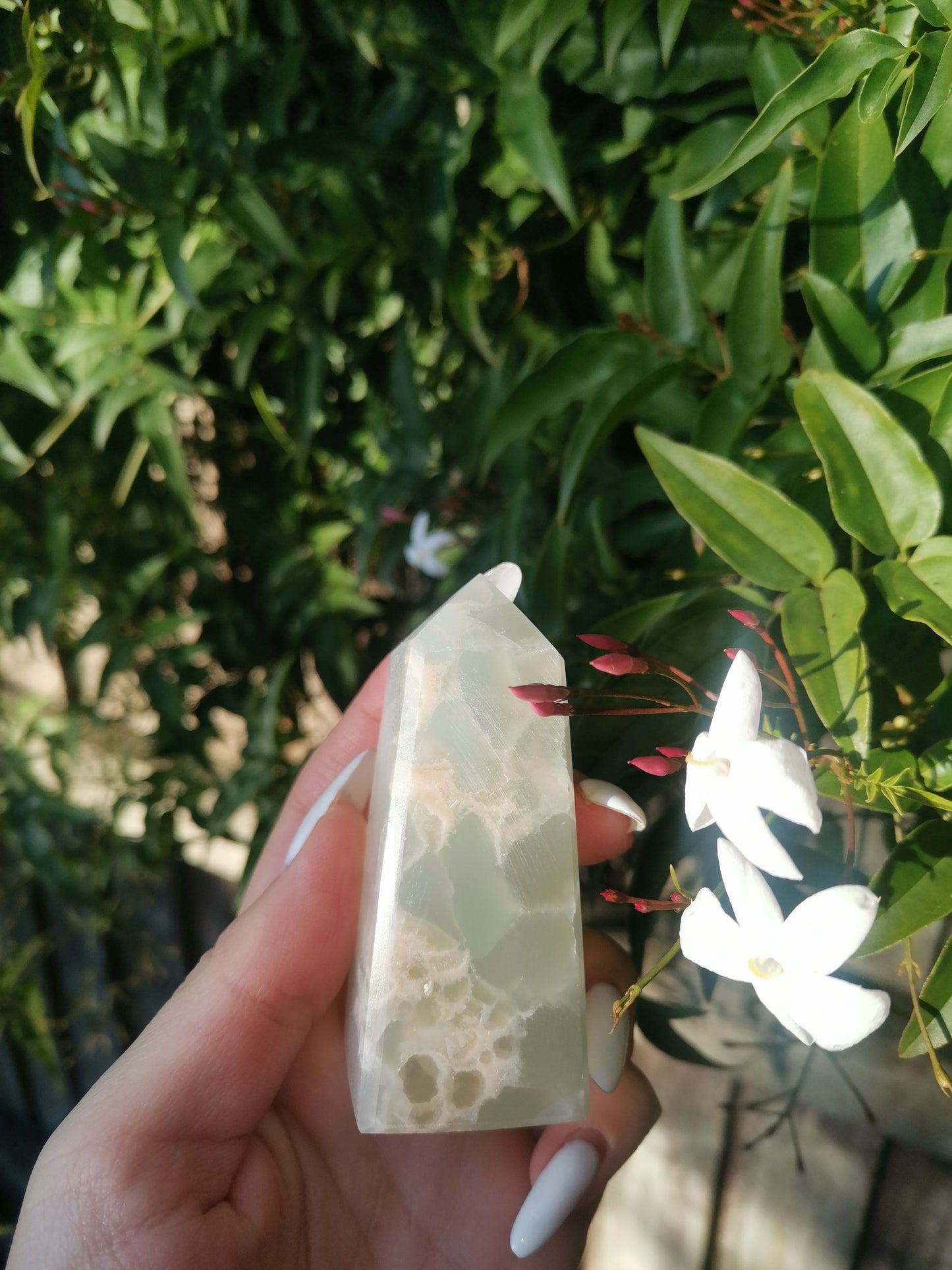 Caribbean Calcite Tower 3