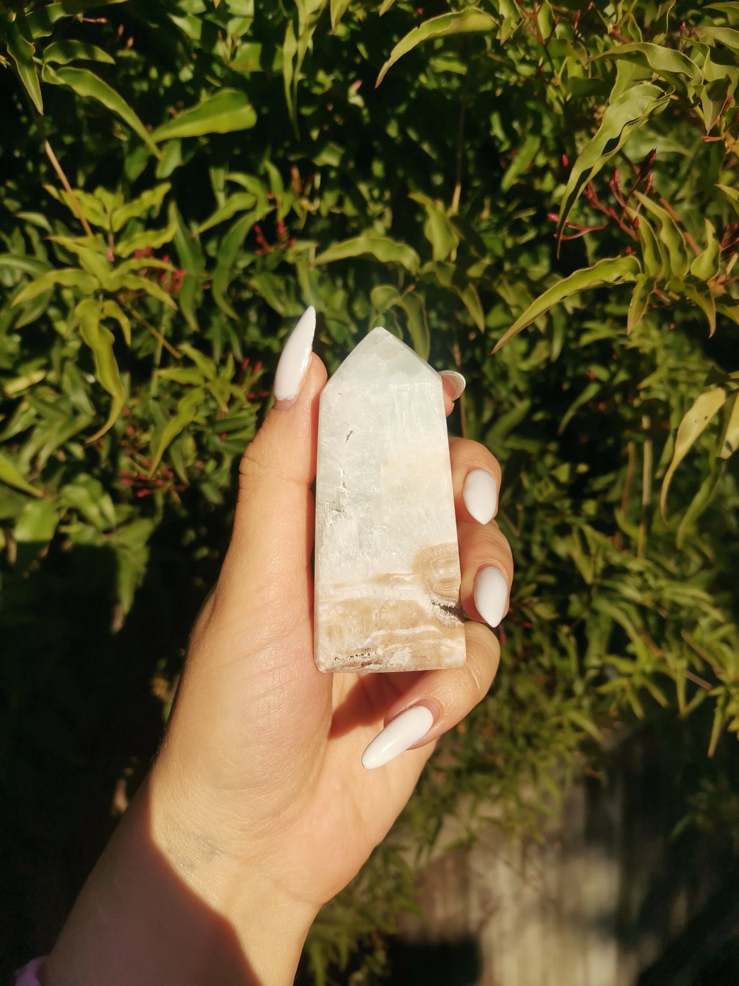 Caribbean Calcite Tower 1