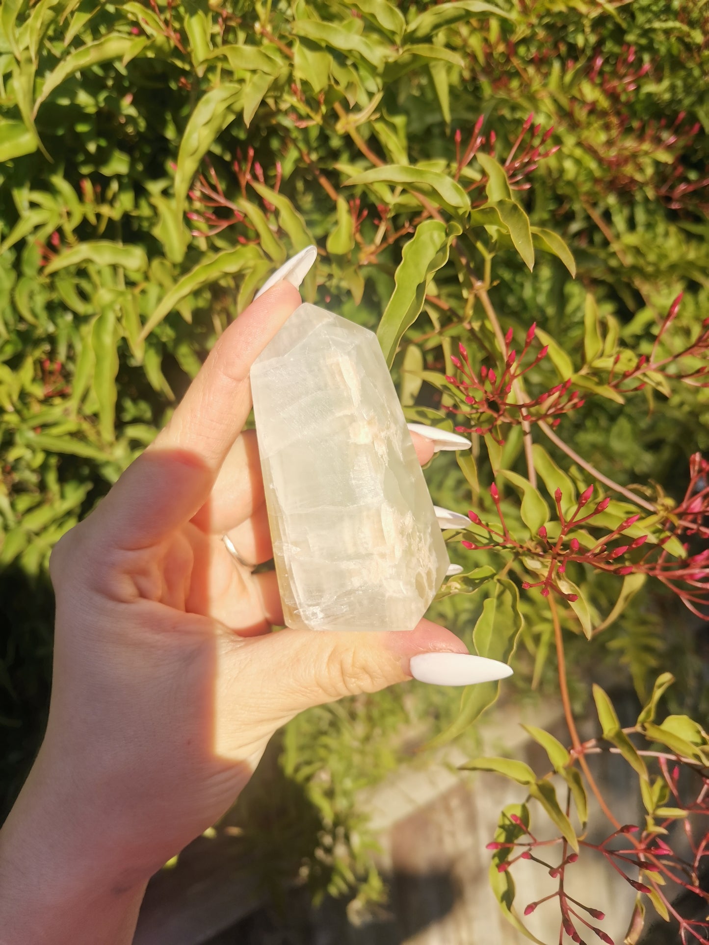 Caribbean Calcite Tower 3